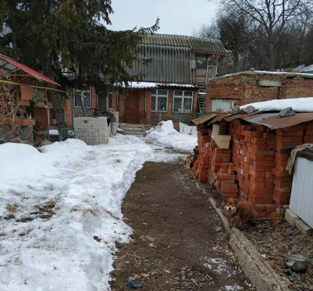 Старенька лежала у калюжі